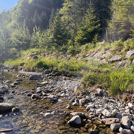 Haus Fuesslmuehle Lägenhet Fuschl am See Exteriör bild