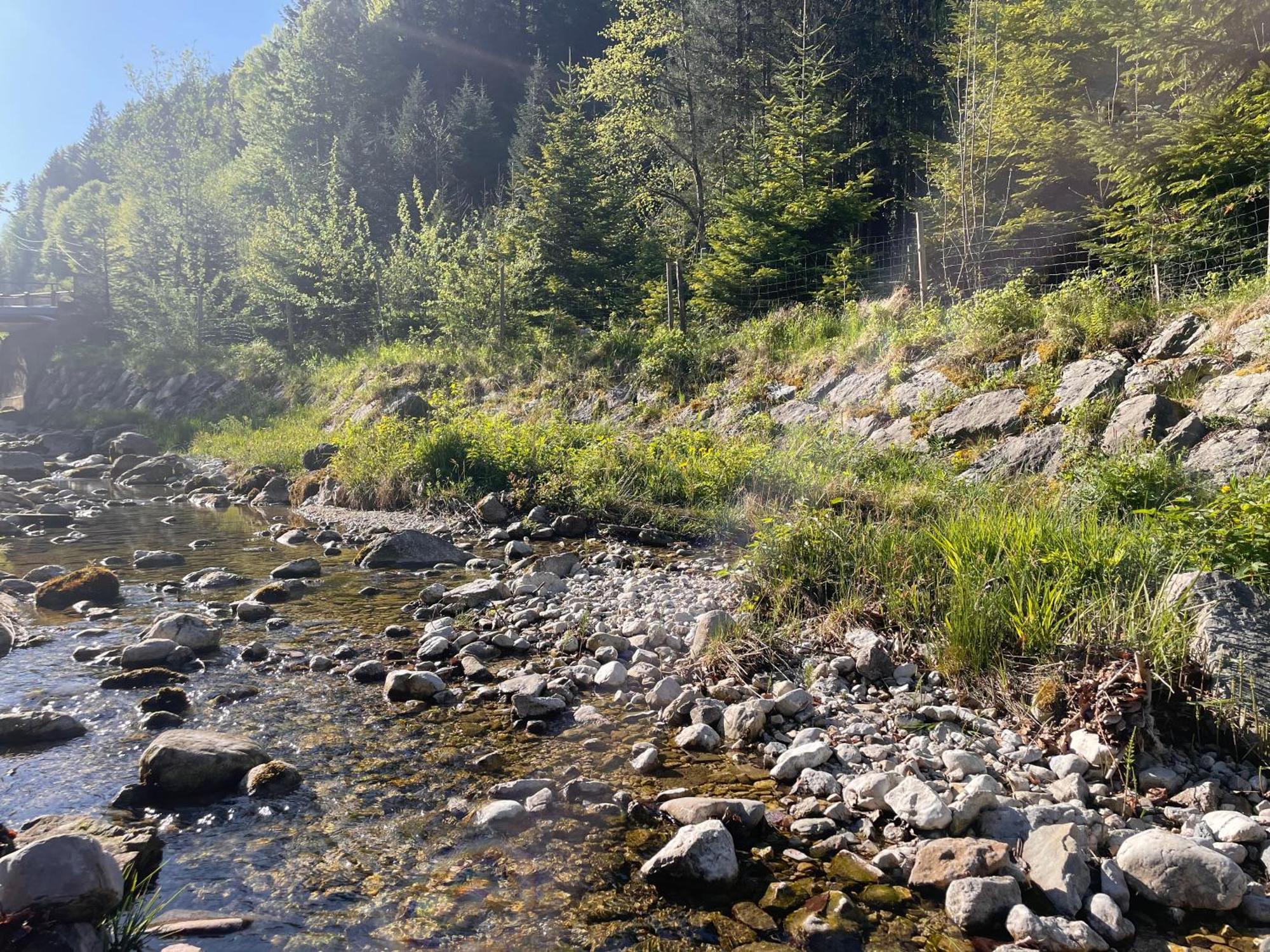Haus Fuesslmuehle Lägenhet Fuschl am See Exteriör bild